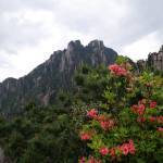 三清山玉華峰農(nóng)莊