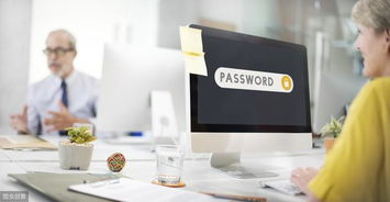 構(gòu)建創(chuàng)新商標(biāo)品牌與高效信息系統(tǒng)運(yùn)維服務(wù)的雙輪驅(qū)動戰(zhàn)略